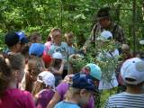 Lipcowe igraszki- wycieczka do leśniczówki