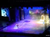 027-DSCN8496