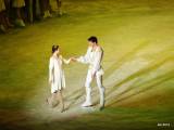 104-DSC08809