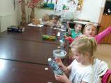 23-20150602_170852(0)