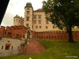 221-DSCN9199