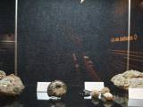 DSC09494